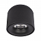 Светильник LOFT IT 10219 Black 3000K