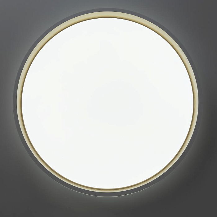 Светильник Citilux CL753450G