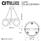 Люстра Citilux CL220261