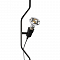 Светильник LOFT IT 10346/1 Black
