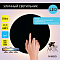 Уличный светильник Arte Lamp A4506AL-1BK