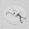 Светильник Citilux CL72495G0