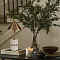 LOFT IT 10444T/B