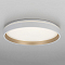 Светильник Citilux CL753450G