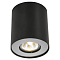 Светильник ARTE LAMP A5633PL-1BK